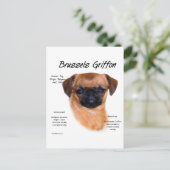 Glad Brussel Griffon Geschiedenis Briefkaart (Staand voorkant)
