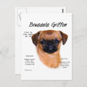 Glad Brussel Griffon Geschiedenis Briefkaart (Voorkant / Achterkant)