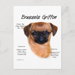 Glad Brussel Griffon Geschiedenis Briefkaart