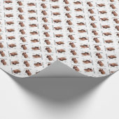 Glad Brussel Griffon Geschiedenis Cadeaupapier (Hoek)