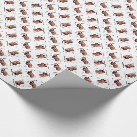 Glad Brussel Griffon Geschiedenis Cadeaupapier (Hoek)