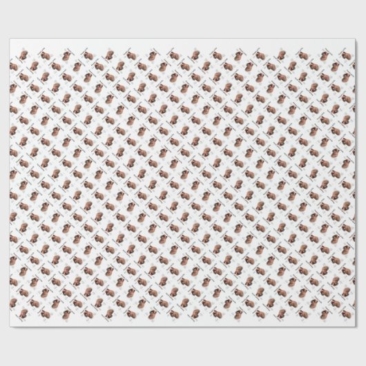 Glad Brussel Griffon Geschiedenis Cadeaupapier (Vlak)