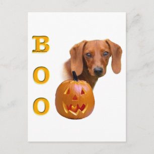 Glad Dachshund Boo Briefkaart