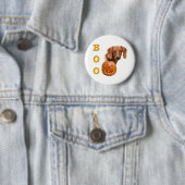 Glad Dachshund Boo - Button (In situ)