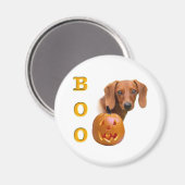 Glad Dachshund Boo - Magneet (Voorkant / Achterkant)