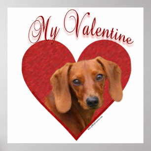 Glad Dachshund Mijn Valentijn Poster