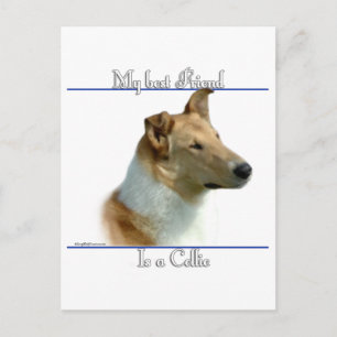 Gladde Collie Beste Vriend 2 Briefkaart