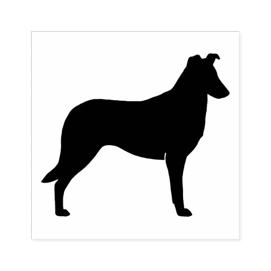 Gladde Collie Hondenras Silhouet Rubber Stamp Rubberstempel (Afrduk)