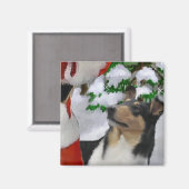 Gladde Collie Kerstcadeaus Magneet (Voorkant / Achterkant)