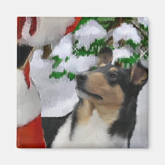 Gladde Collie Kerstcadeaus Magneet (Voorkant)