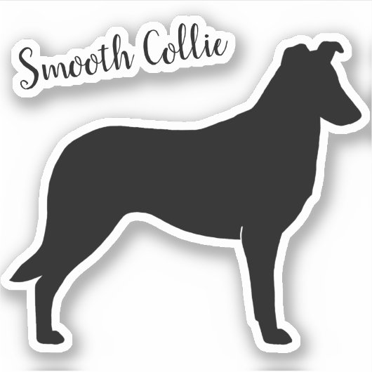 Gladde Collie Silhouette Hondenras Vinyl Sticker (Voorkant)