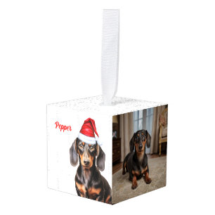 Gladde Dachshund Twee Foto's Kerstvakantie Decoratie