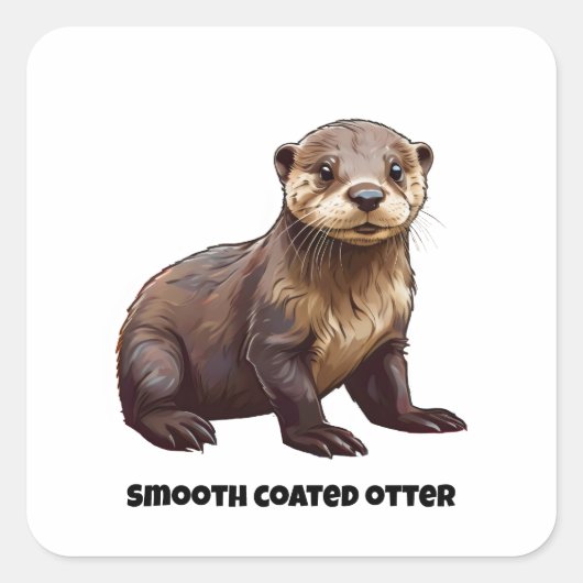 Gladde gecoate otter pup vierkante sticker (Voorkant)