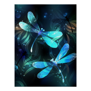 Gladde glazen libellen meer perfect poster