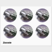 Gladde Jazz Gitaar Ronde Sticker (Vel)