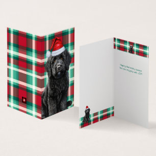Gladde Labradoodle Holiday Plaid Christmas Kaart
