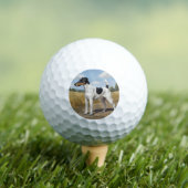 Gladde Vos Terrier Golfballen (Insitu Shirt)