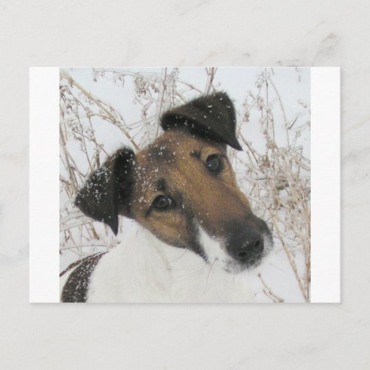 gladde vossedertang briefkaart (Voorkant)