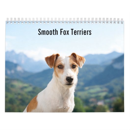 Gladde Vossen Terriers 2027 Muurkalender Kalender (Hoes)