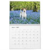 Gladde Vossen Terriers 2027 Muurkalender Kalender (Mar 2027)