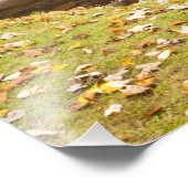 Glade Creek Grist Mill, Babcock State Park Foto Afdruk (Hoek)