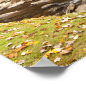 Glade Creek Grist Mill, Babcock State Park Poster (Hoek)