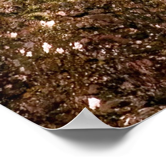 Glade Creek Grist Mill Poster (Hoek)