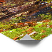 Glade Creek Grist Mill Poster (Hoek)