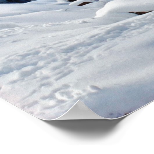 Glade Creek Gristmill winter 2010 Poster (Hoek)