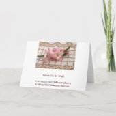 Gladeolia wordt beter kaart (Achterkant)