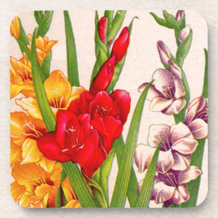 gladiola bloemen gladioli bloemen drankjes onderzetter