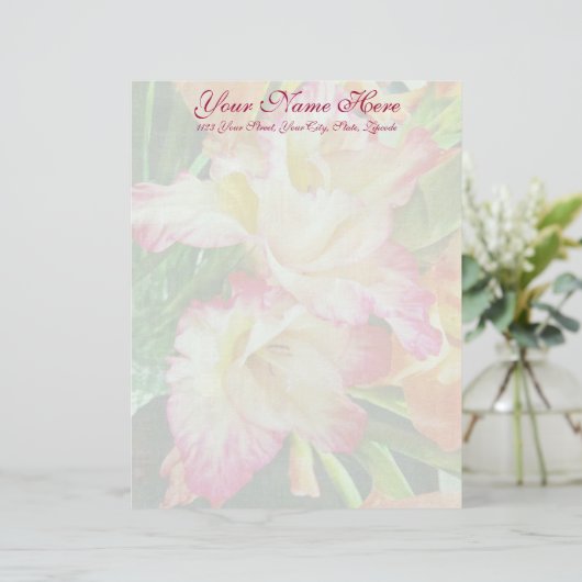 Gladiola Briefhoofd (Staand voorkant)