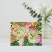 Gladiola Briefkaart (Staand voorkant)