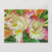 Gladiola Briefkaart (Voorkant)