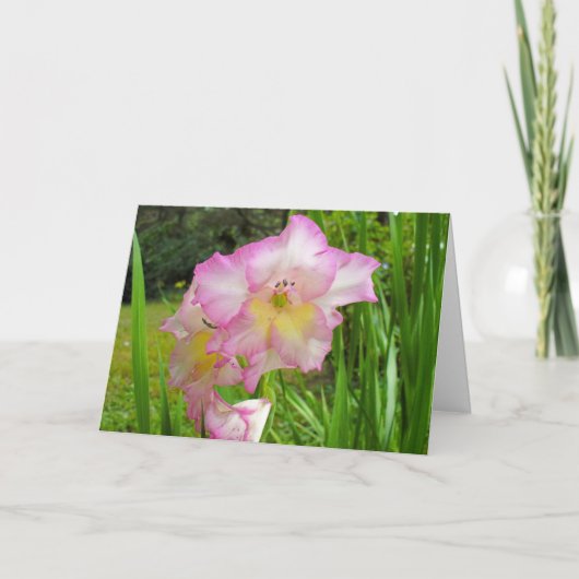 Gladiola denkt aan je kaart (Voorkant)