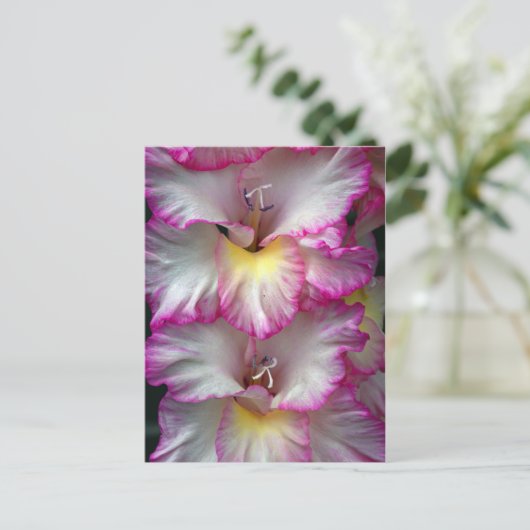 Gladiola florale schoonheid            briefkaart (Staand voorkant)