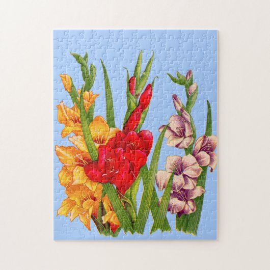 gladiola gladiolus legpuzzel (Verticaal)