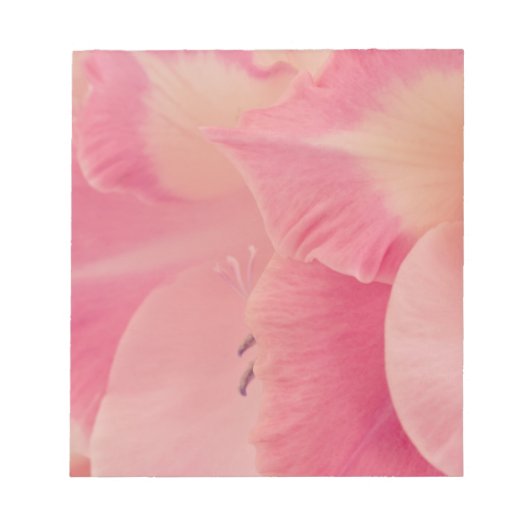 Gladiola Petals Notitieblok (Voorkant)