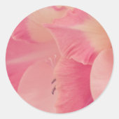 Gladiola Petals Ronde Sticker (Voorkant)