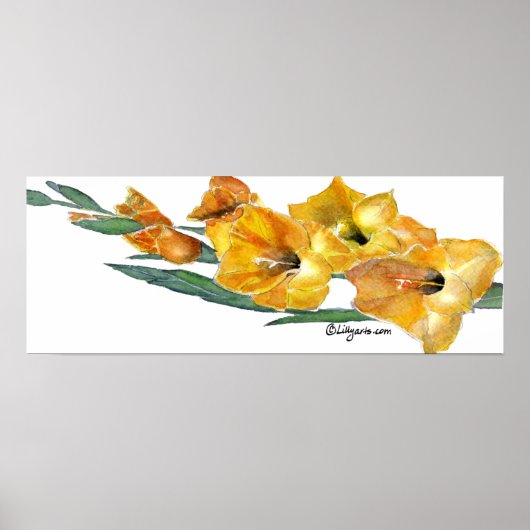 Gladiola Waterverf Afdrukken Poster (Voorkant)