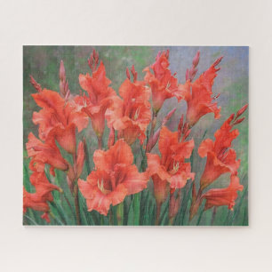 Gladioli Bloemen Rode Bloesems Bloemschilderij Legpuzzel