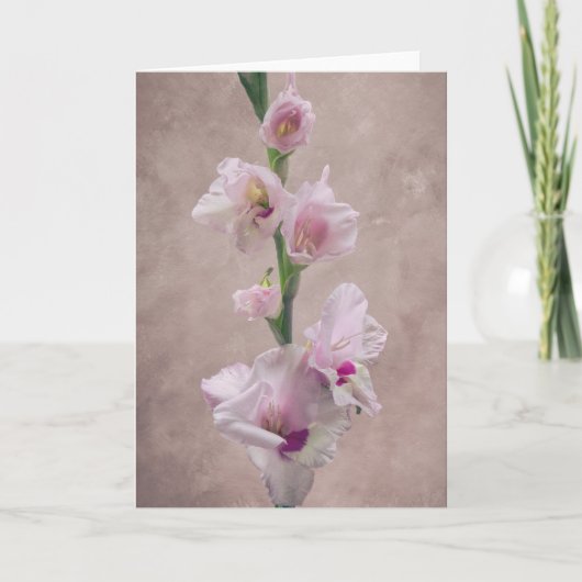 Gladioli-bloemkaart Kaart (Voorkant)