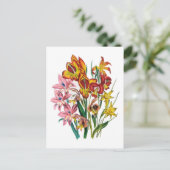 Gladioli Briefkaart (Staand voorkant)