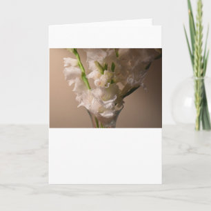 Gladioli, kaart