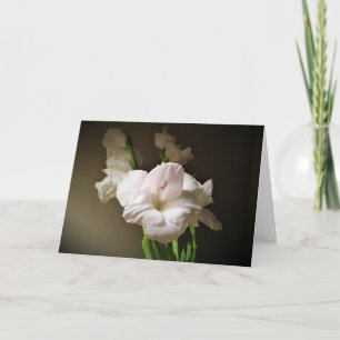 Gladioli, kaart