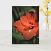 Gladioli, kaart (Gele Bloem)
