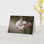 Gladioli, kaart (Gele Bloem)