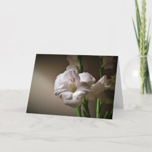 Gladioli, kaart