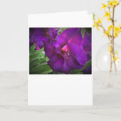 Gladioli, kaart (Gele Bloem)