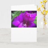 Gladioli, kaart (Gele Bloem)